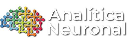 Logo Analítica Neuronal - Empresa de Software e IA